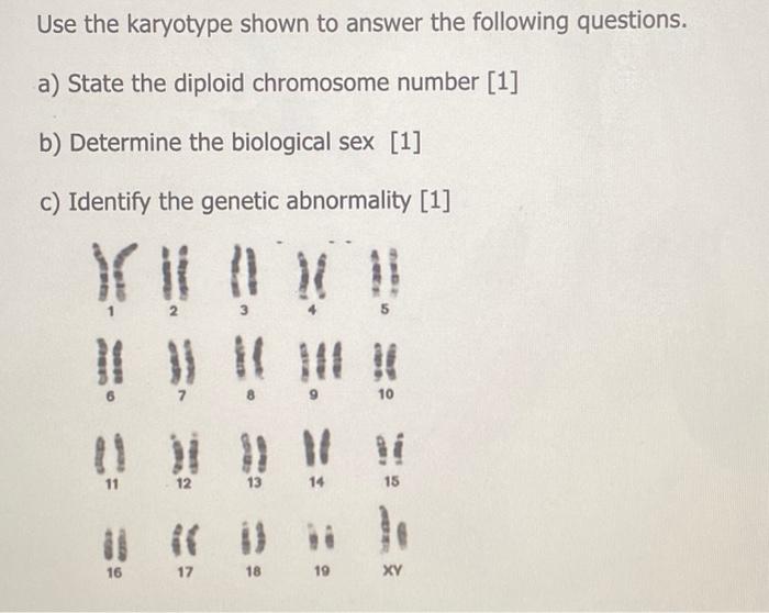 Solved The Following Diagram Shows A Karyotype Of A Certain Chegg Com