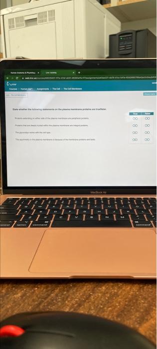 Solved 6 Which Of The Following Statements Regarding The Chegg Com