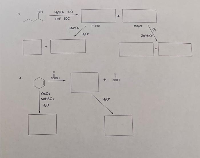 Solved A Researcher Succeeded In Increasing Acetylation Of Chegg Com