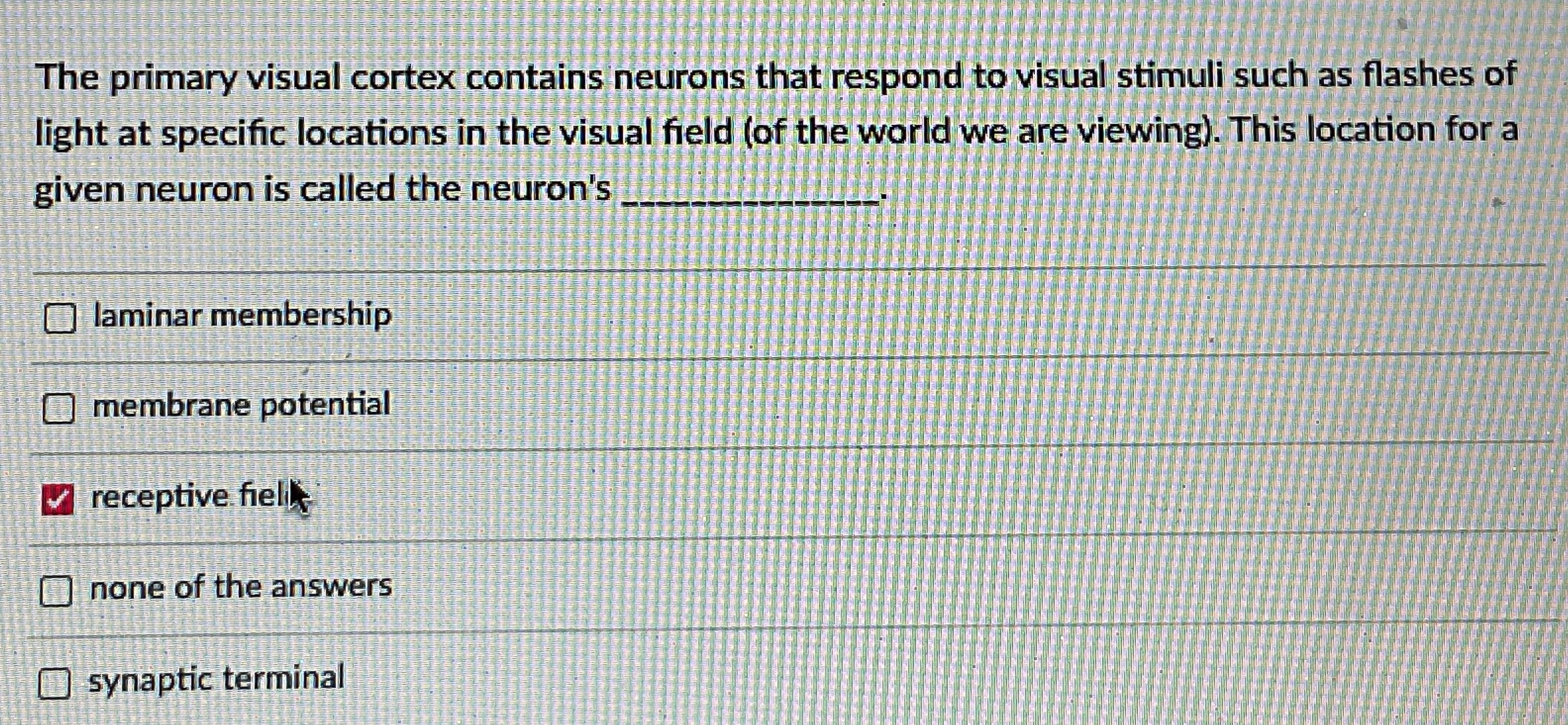 Solved Neurons In Primary Visual Cortex That Have Receptive Chegg Com