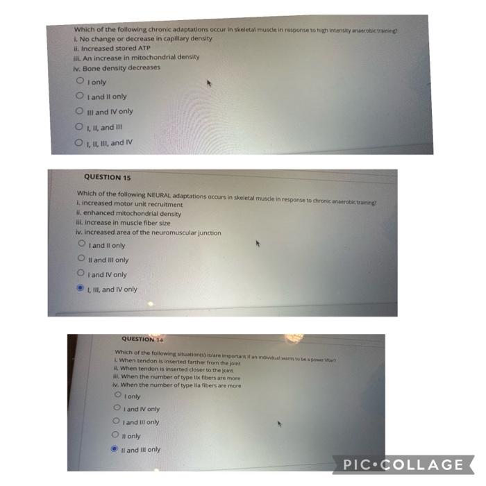 Solved Which Of The Following Adaptations Are Present In Chegg Com
