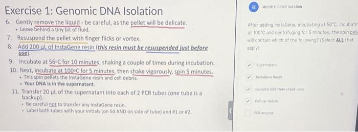 Solved Consider Your Dna Isolation What Is The Role Of The Chegg Com
