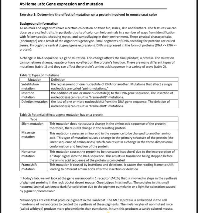 The Modes Of Adaptation Repeated Mutation Vs Shared Origins Kreiner Lab