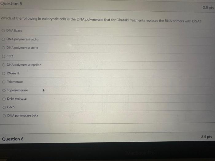 Solved In Eukaryotic Cells Majority Of The Cell S Dna Can Chegg Com