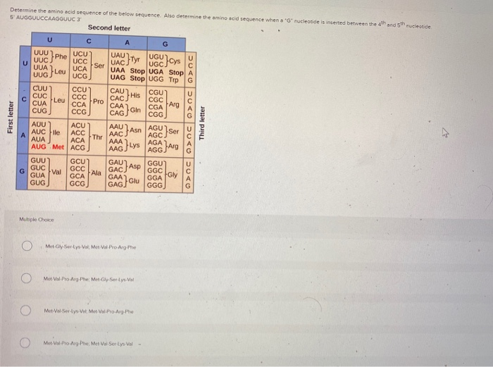 Solved The Amino Acid Sequence Below Represent The Sequence Chegg Com