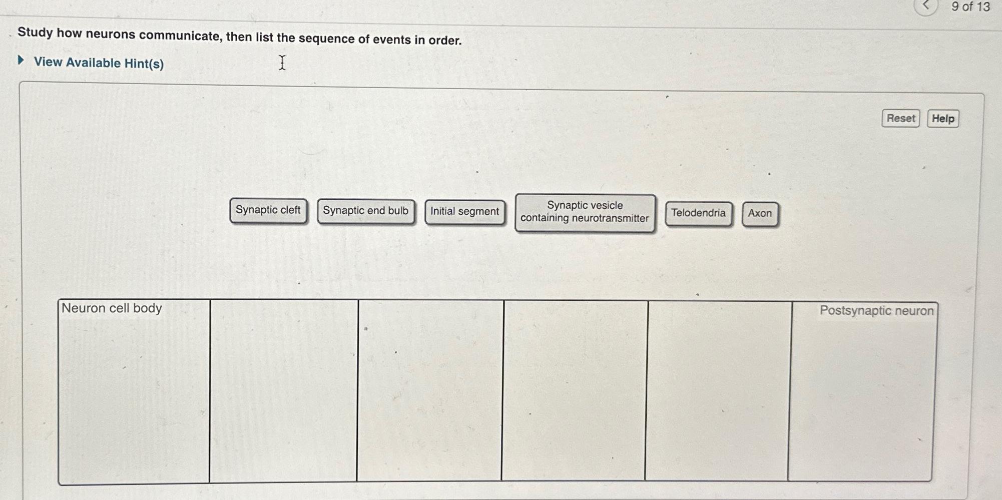 Solved Neurons Communicate And Transmit Information Through Chegg Com