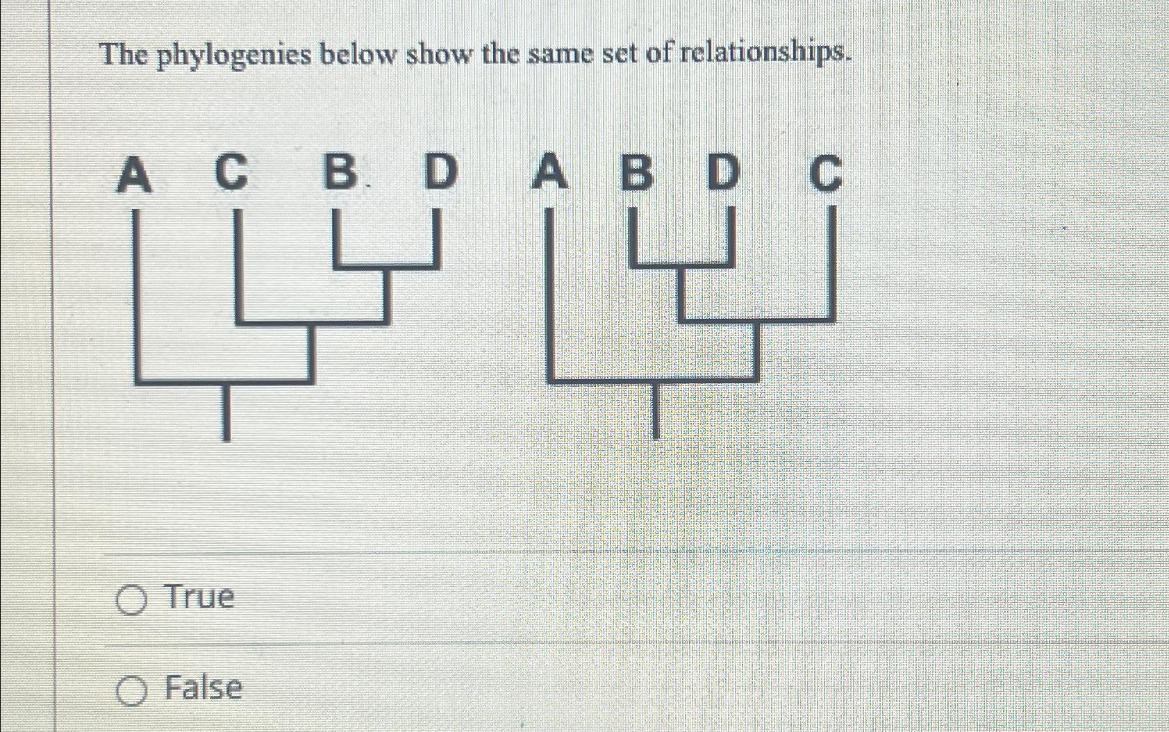 Solved Returnthe Phylogenies Below Each Show A Subset Of 5 Chegg Com