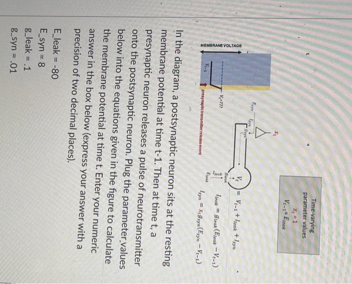 Solved When Compared With The Postsynaptic Potential Chegg Com