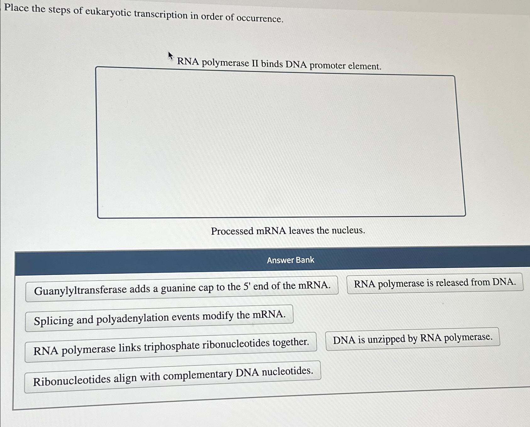 Solved The Following Eukaryotic Dna Is Transcribed Into Rna And The