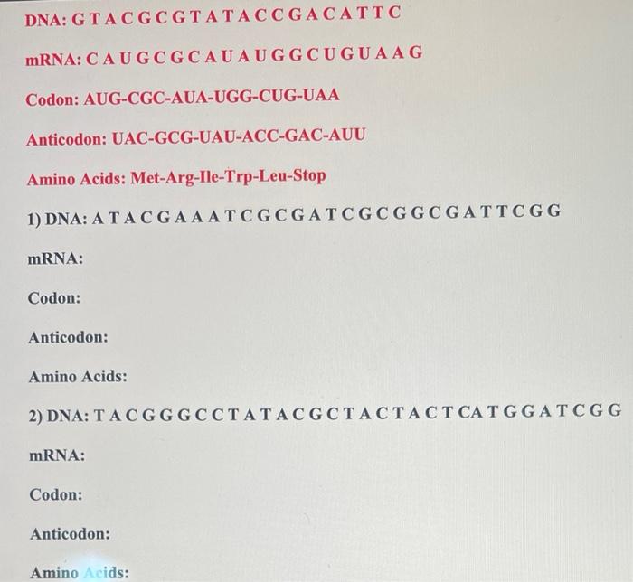 Solved DNA: G T A C G C G T A T A C C GACA T T C mRNA: C A U | Chegg.com