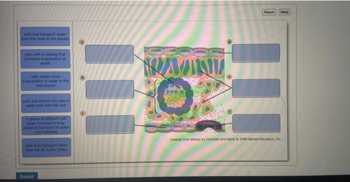 Solved The Use Of Biological Processes In The Development Or Chegg Com