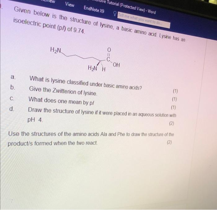 Solved Suppose That In A Given Protein One Lysine Is Replaced By