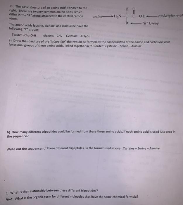 Solved 9 The Structure Of The Amino Acid Glutamine Is Shown Chegg Com