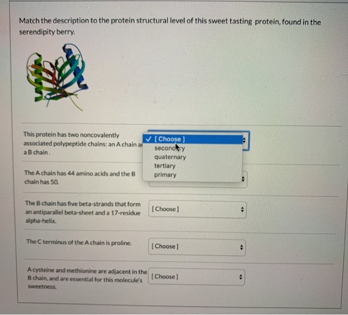 Solved When Comparing Various Protein Structures In Chimera Chegg Com