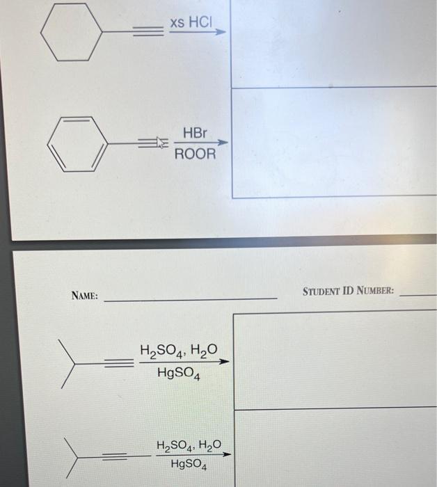 Solved What Genus Would You Assume These Cells Belong To Chegg Com