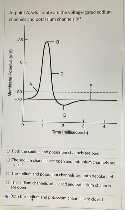Solved Voltage Gated Sodium Channels Open Permitting The Chegg Com