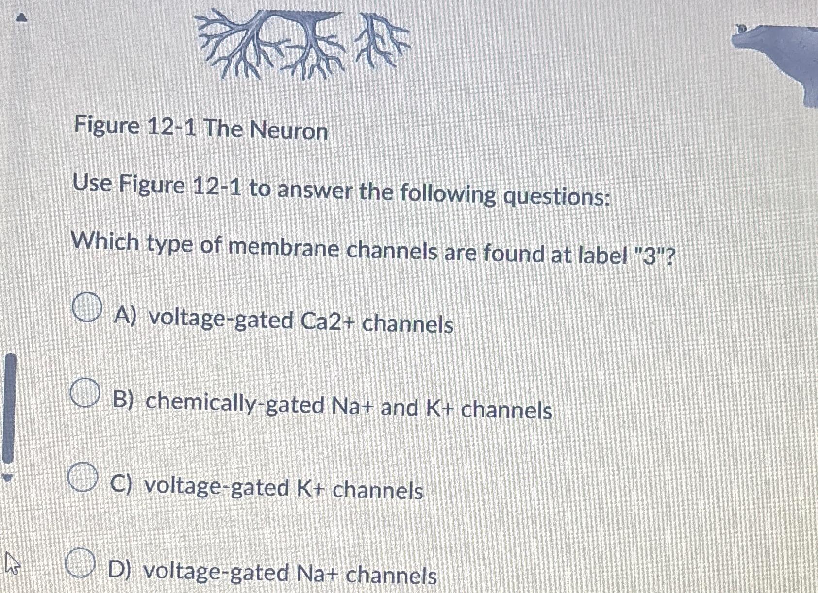 Solved 4 Neural Networks A Figure 4 Shows A Neuron Chegg Com