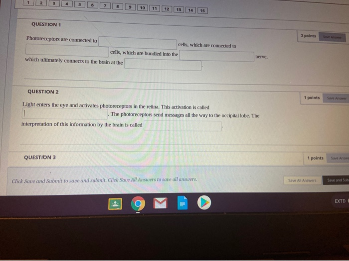 Solved Rods Are Photoreceptors That Are Mostly Concentrated Chegg Com