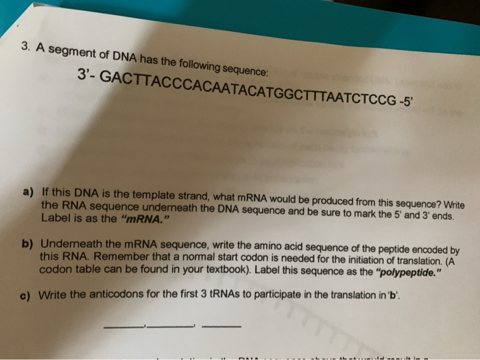 Solved 3 Dna Segment Below Is Part Of The Sequence For Chegg Com