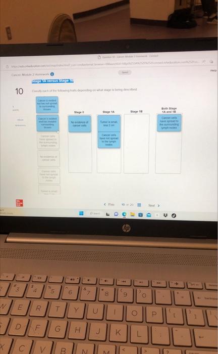 Partial Question 10 410 Pts After Pcr Amplification Chegg Com
