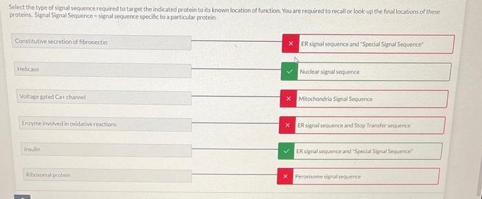 Solved A Signal Sequence Directing A Polypeptide To A Target Chegg Com