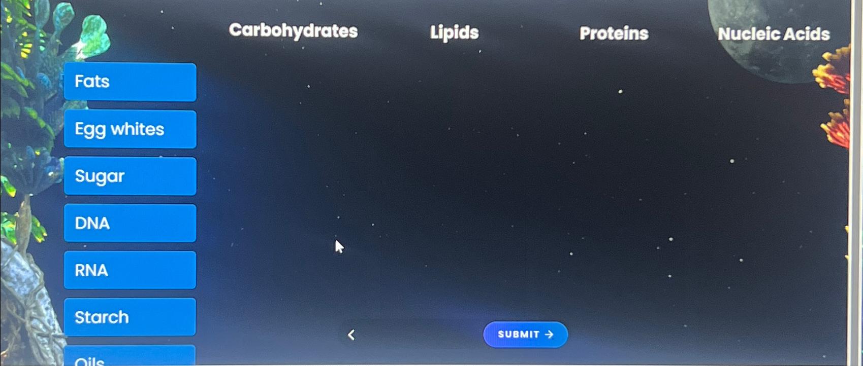 Nucleic Acids Lipids Fats And Proteins