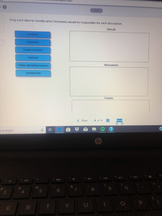 Solved 28 What Are The Three Chemical Classes Of Hormones Chegg Com