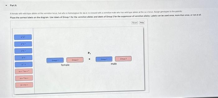 Solved The Region Where The Genetic Molecule Is Found Inside Chegg Com
