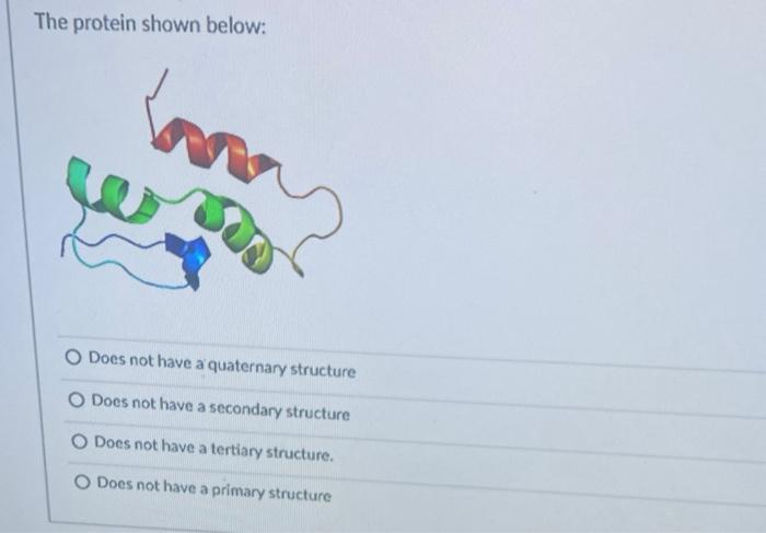 Solution Protein Structure Tertiary And Quaternary Levels Studypool