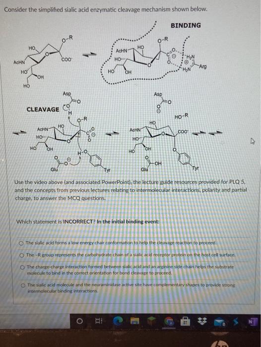 Consider The Simplified Sialic Acid Enzymatic Chegg Com