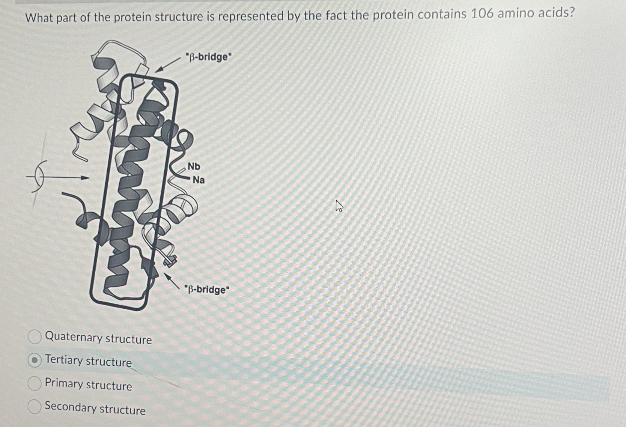 Solved Name The Types Of Protein Structure Shown If There Chegg Com