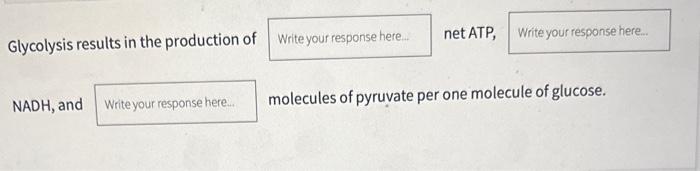 Solved Glycolysis Results In The Production Of Net Atp Chegg Com