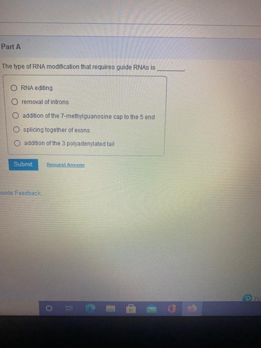 Solved The Alpha Subunit Of The Rna Polymerase Binds To What Chegg Com