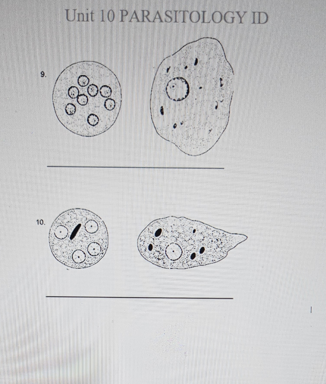 Solution Candidate Gene Approach For Parasite Res Studypool