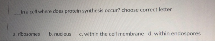 Solved All Protein Synthesis Starts On Er Free Ribosomes Chegg Com