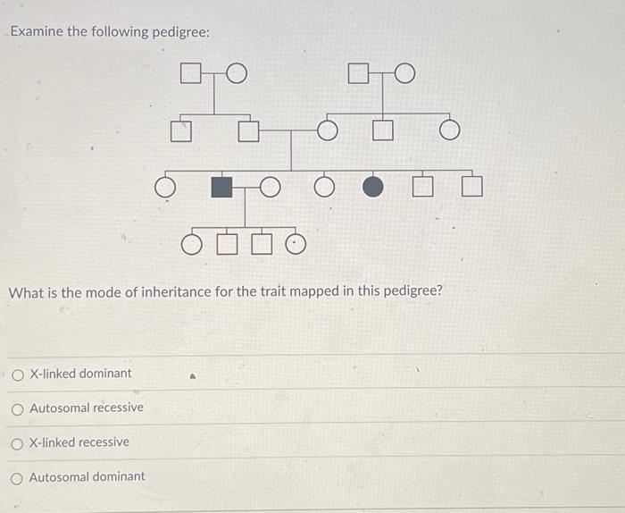 Solved Examine The Following Pedigree What Is The Mode Of Chegg Com