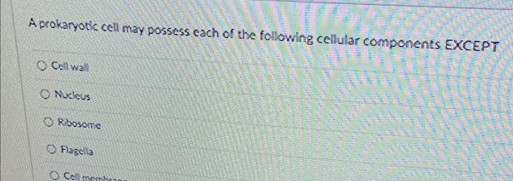 Solved A Prokaryotic Cell Has The Same Level Of Complexity Chegg Com
