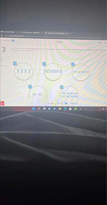 Solved Scientists Decided To Study In Vitro The Activity Chegg Com