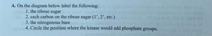 Solved Question 4 Identify The Correct Nucleoside Or Chegg Com