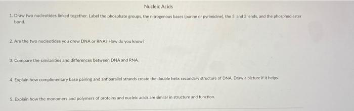Solved 1 Explain The Relationship Of Nucleotides To Nucleic Chegg Com
