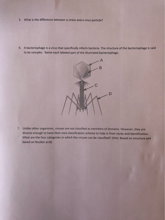 Solved 1 Compare And Contrast The Two Key Viral Evolution Chegg Com