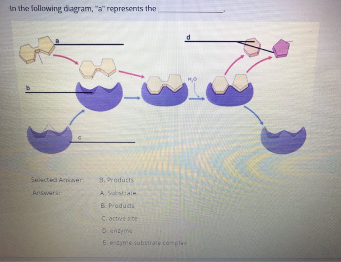 Solved Conversion Of Pyruvic Acid Before Cellular Chegg Com