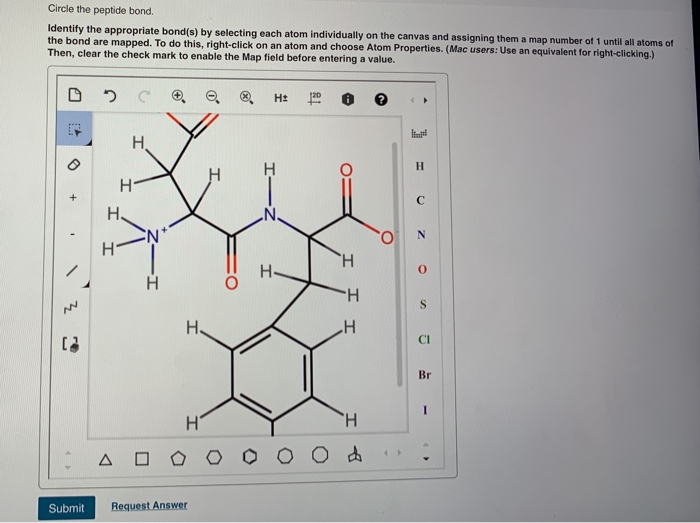 Solved Peptide Bond The Figure Above Shows A Peptide Bond Chegg Com