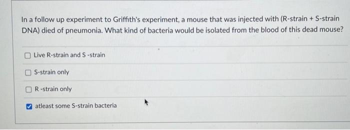 Solved Correct Dna Are Chegg Com