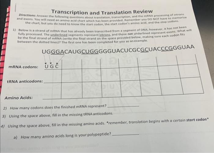 Solved 1801 Transcription Translation 23 Outline What Chegg Com