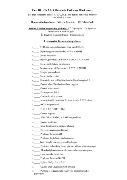 Metabolic Pathways Are Shut Down Y Feedback Inhibition 7 Docx
