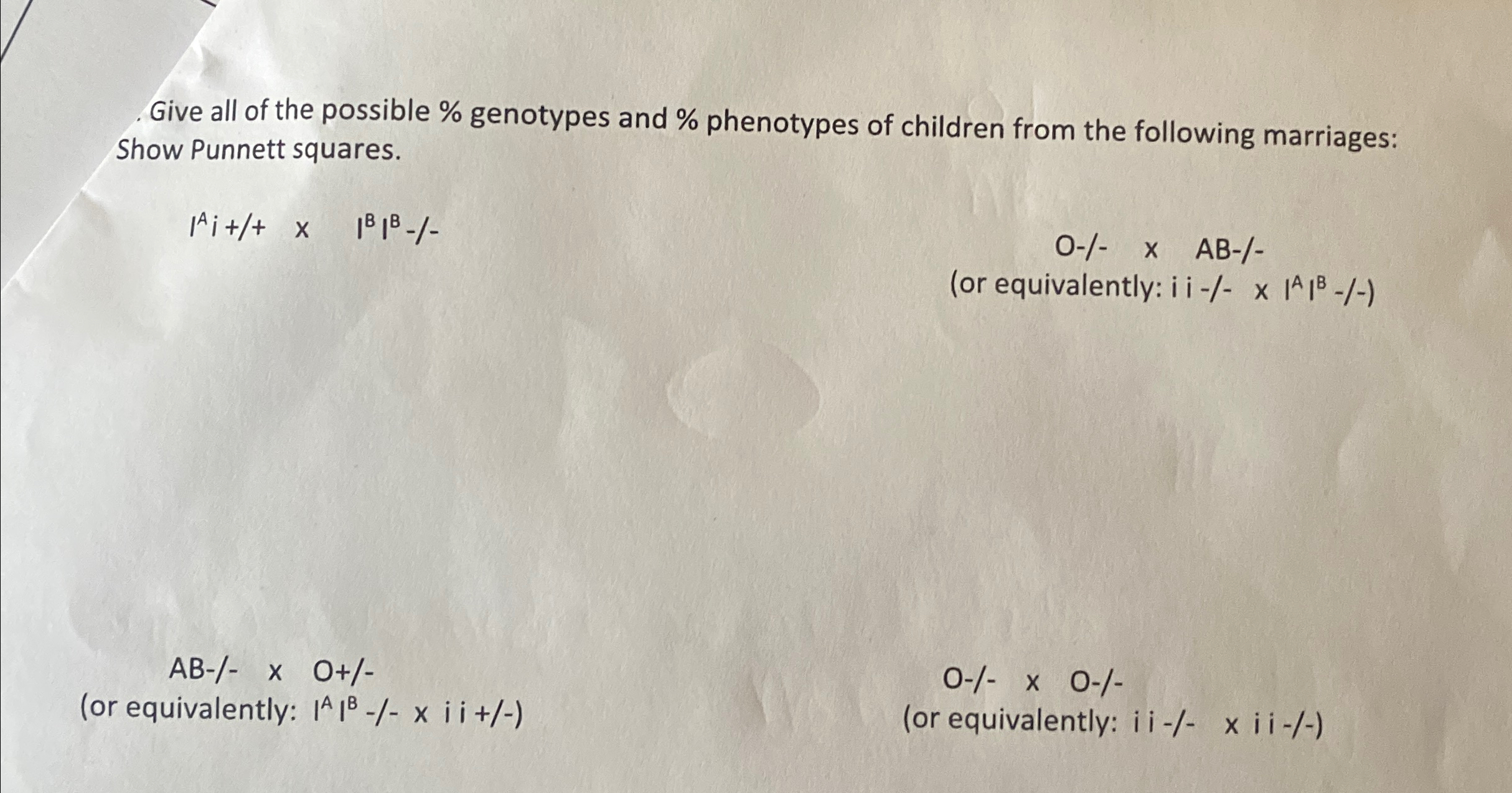 Solved Show The Possible Genotypes And Phenotypes Of The Chegg Com