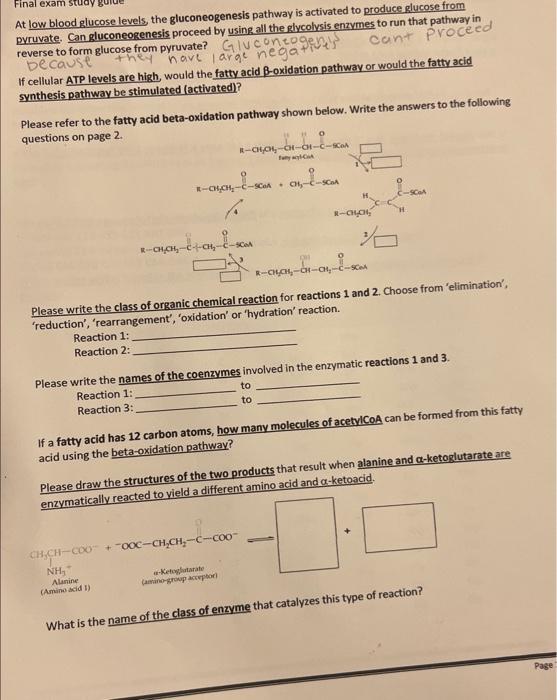 Solved Question 15 In The Gluconeogenesis Pathway The Enzyme Glucose
