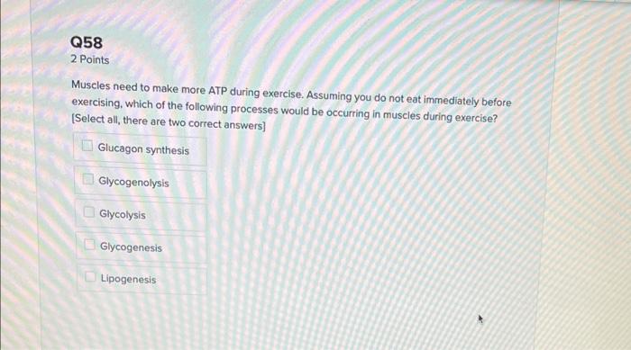 Solved At Rest Most Of The Atp Needed Is Produced By Which Chegg Com