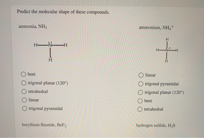 Solved I Nh Ammonium Ion Molecular Structure Number Of Chegg Com